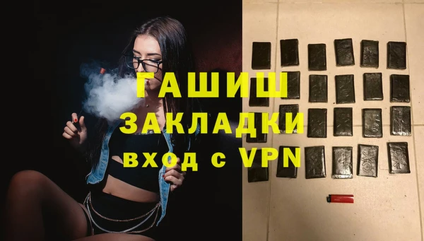 гашик Алексин