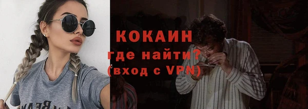 гашик Алексин