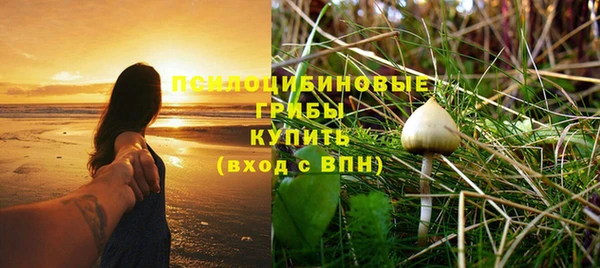 гашик Алексин