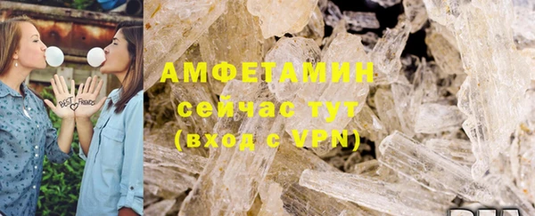 гашик Алексин