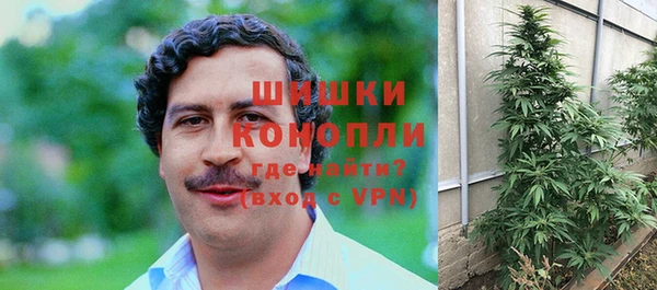 сатива Алзамай