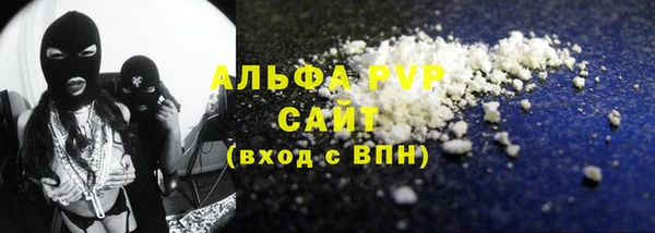 гашик Алексин